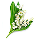 Logo Handiapason