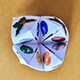 Logo Handiapason